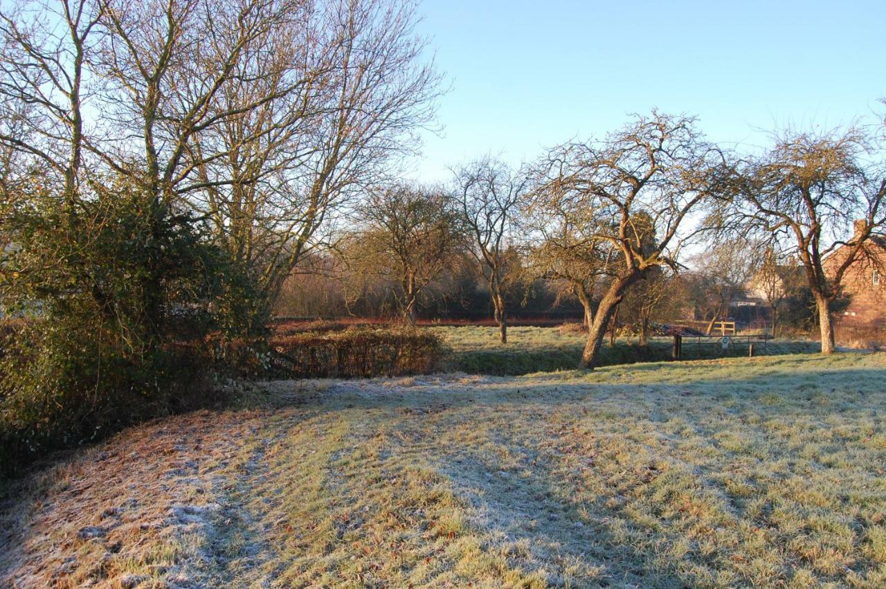 Home Barn Bed And Breakfast Yeovil Exteriör bild
