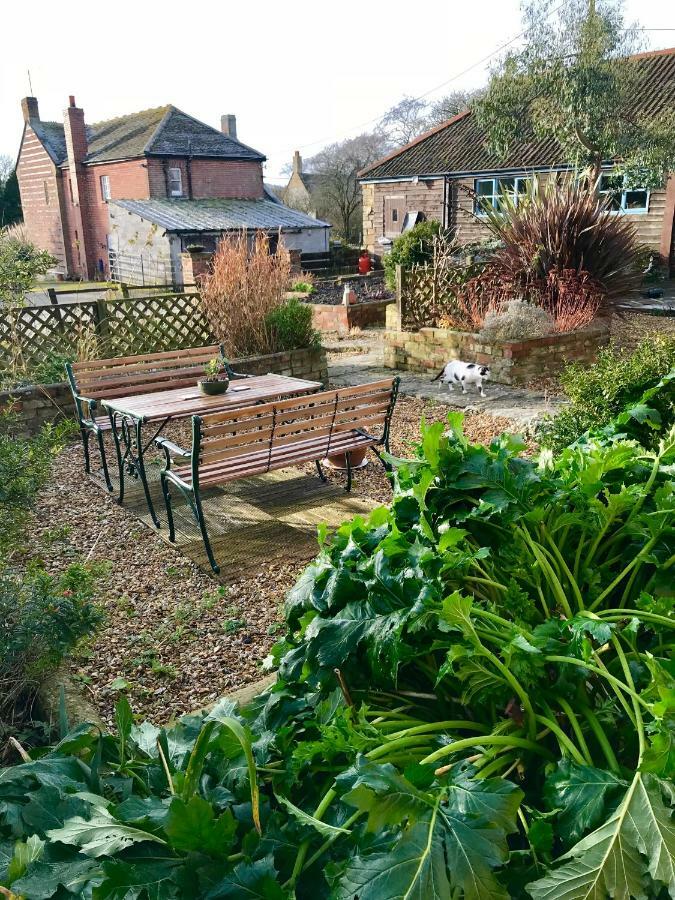 Home Barn Bed And Breakfast Yeovil Exteriör bild